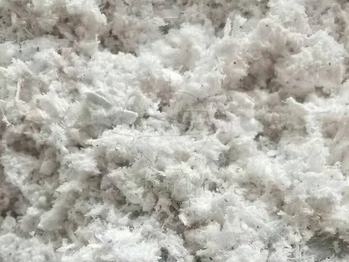 fiber