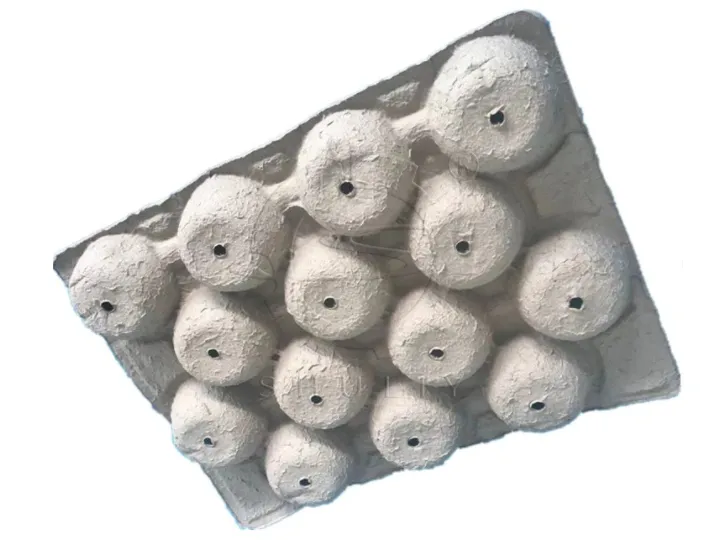 apple tray