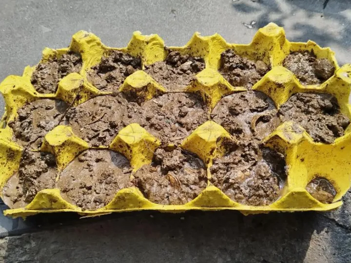 seedling cup tray