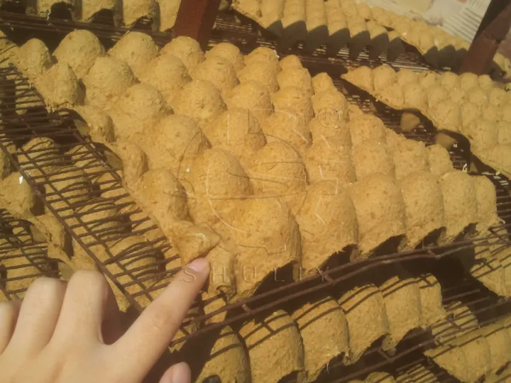 wet egg cartons air-dried in the sun