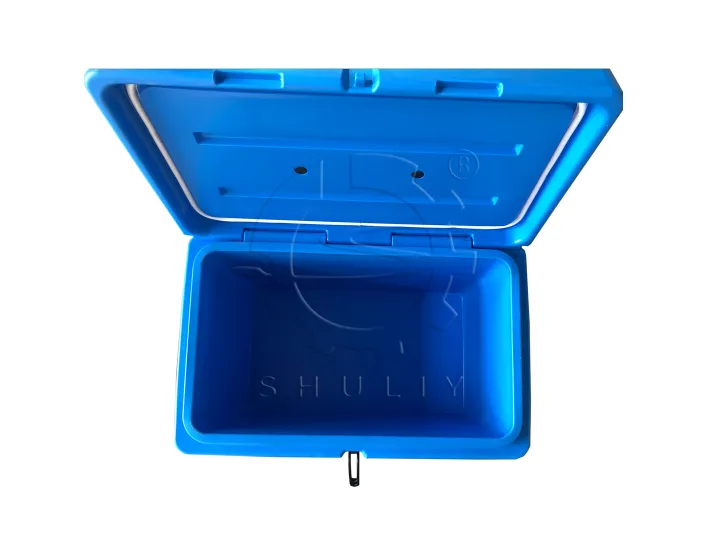 Inside the dry ice cooler